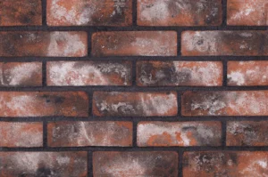 Клинкерна плочка Olba Reclamation Антик Селджук 215×65×15