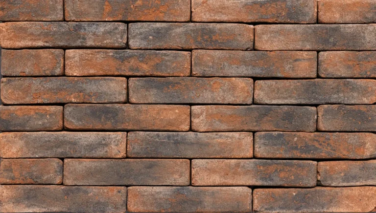 Клинкерна плочка Myra Old Антик Селджук 215×65×15